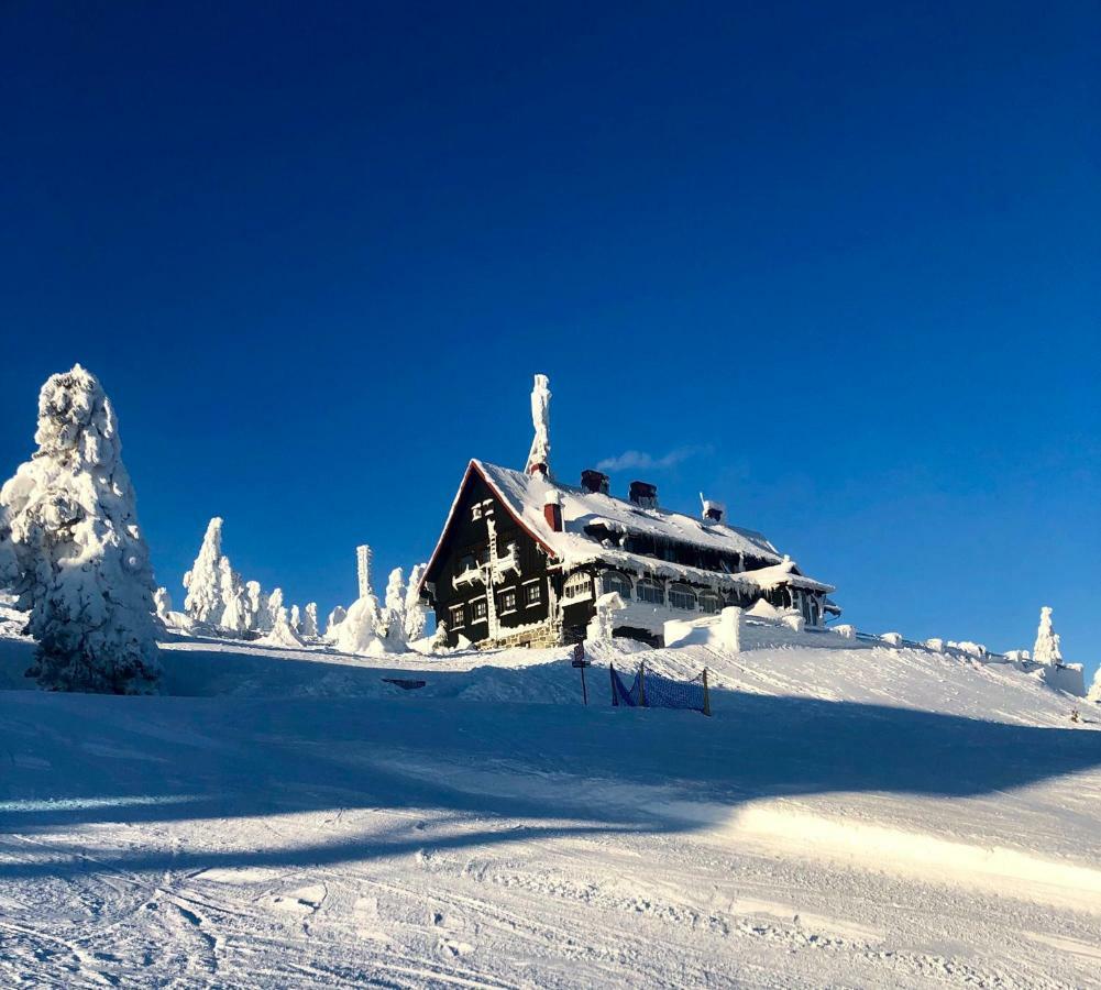 Ski Sun Sea - Rodzinny Apartament Pod Gondola Świeradów-Zdrój Εξωτερικό φωτογραφία